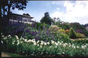Family Home Prestigious Suburb Panoramic Views, Glenunga